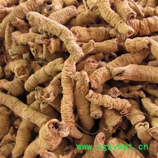 巴戟肉 大统 产地 广东省 华美中药 产地直销 重在品质图2