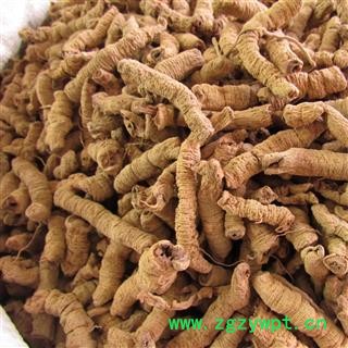 巴戟肉 大统 产地 广东省 华美中药 产地直销 重在品质图4