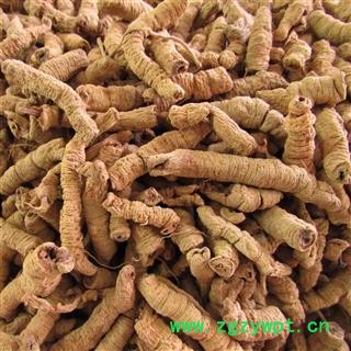 巴戟肉 大统 产地 广东省 华美中药 产地直销 重在品质图3