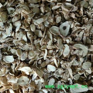 黄芪 统货 产地 甘肃省  华美中药 产地直销 重在品质图4