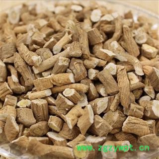 板蓝根 中选 产地 甘肃省 华美中药 产地直销 重在品质图2