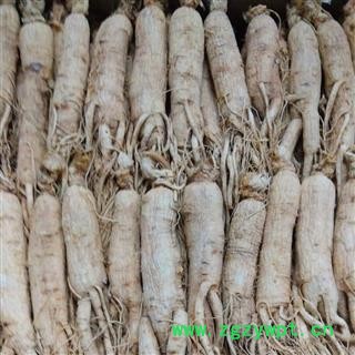 人参 生晒参35支@【华美中药】中药材批发供应【无硫生晒参】图2