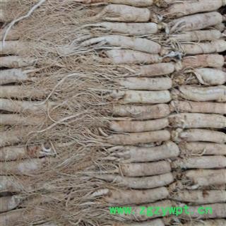 人参 生晒参35支@【华美中药】中药材批发供应【无硫生晒参】图4
