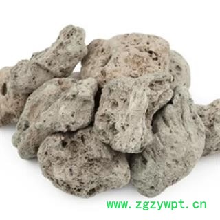 新辉药业中药材海藻石 海浮石图2