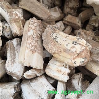 新辉药业龙齿 白龙齿 优质新货图2