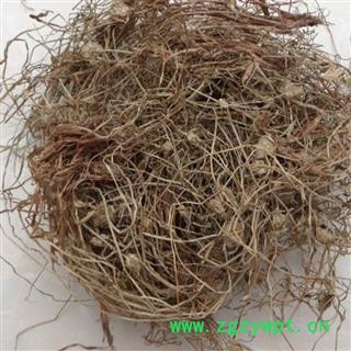 水蜈蚣 正品保证质量无理由退货退款图3