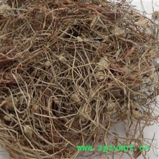 水蜈蚣 正品保证质量无理由退货退款图2