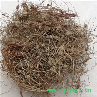 水蜈蚣 正品保证质量无理由退货退款图4