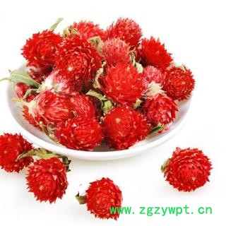 红巧梅 正品保证质量7天无理由退货退款 华安堂图2