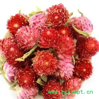 红巧梅 正品保证质量7天无理由退货退款 华安堂图4