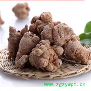 三七12头水洗货 正品保证质量7天无理由退货退款 安品堂图4