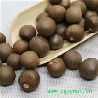 茶树子 茶树籽 茶叶树子 正品保证质量7天无理由退货退款 华安堂图2