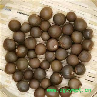 茶树子 茶树籽 茶叶树子 正品保证质量7天无理由退货退款 华安堂图3