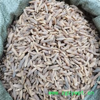 川麦冬 有点有色 油货 统货 7天无理由退货退款图3