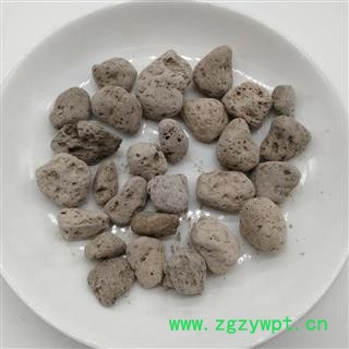 【满298元包邮】海浮石 浮海石 海浮石统货 产地 广东  1公斤1袋图2