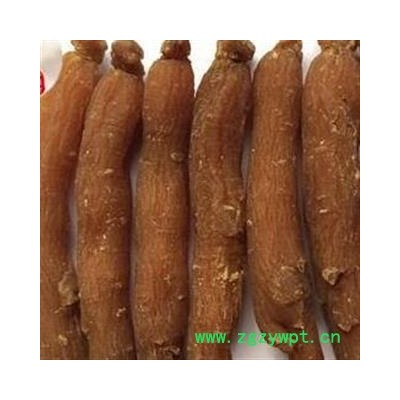 红参 红参低糖20支干度好 产地 吉林省