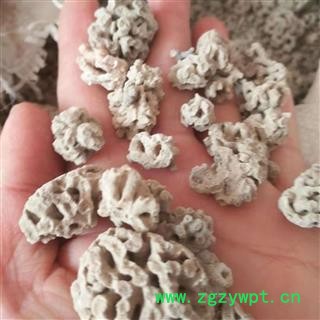 新辉药业正品海浮石 大海浮石 海浮花图2