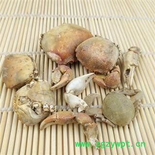 螃蟹甲 方海 螃蟹壳统货正品保证质量7天无理由退货退款 中药材批发 丽丽药业图3