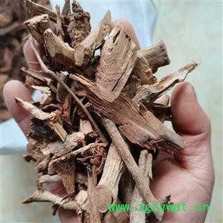 千斤拔 千金拔 一条根 老鼠尾 金牛尾 正品保证质量7天无理由退货退款 华安堂图4