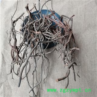 白花丹根 纯野生货正品保证质量7天无理由退货退款 中药材批发 丽丽药业图2