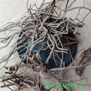 白花丹根 纯野生货正品保证质量7天无理由退货退款 中药材批发 丽丽药业图3