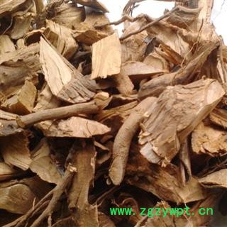 牡荆根 黄荆根 不惊根 华安堂图4