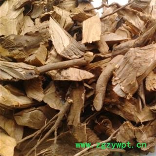 牡荆根 黄荆根 不惊根 华安堂图3
