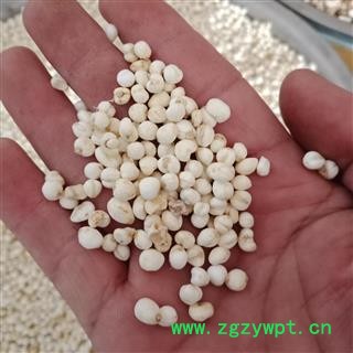 丽丽药业 贝母 平贝 中药材批发 小平贝母 正品保证实图拍照7天无理由退货退款图2
