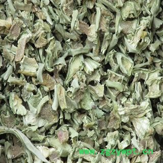 仙人掌正品保证质量7天无理由退货退款图4