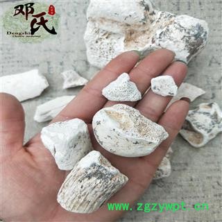 【满包邮】龙骨 龙骨洗水统个 优选品质 产地直供 邓氏中药批发图4