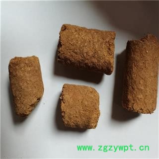 人中黄 产地 河北省邯郸市图2