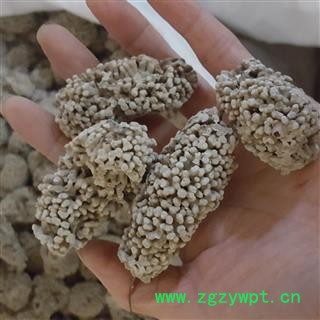 吉康药业海浮石别名水花 羊肚石海浮石花 海浮花图2