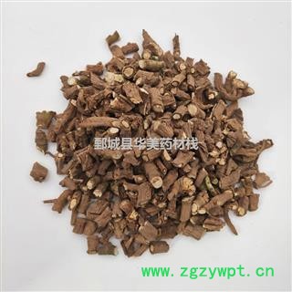 柴胡@【华美中药】中药材批发供应【藏柴胡】选货柴胡图2