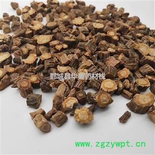 防风@【华美中药】批发供应中药材【防风】防风图2