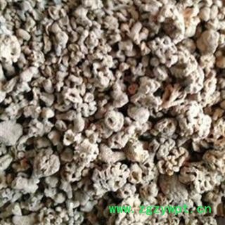 新辉药业中药材海藻石  海浮石 小海浮石图2