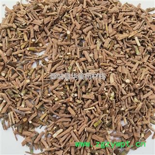 柴胡 藏柴胡统货 产地 甘肃省 华美中药 产地直销 品质保证图3