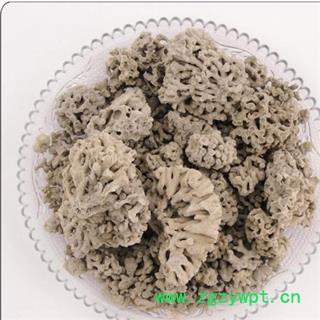 海浮石花 海石花 海藻花正品保证质量7天无理由退货退款图4