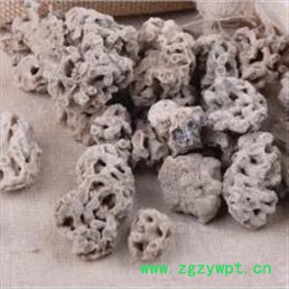 海浮石花 海石花 海藻花正品保证质量7天无理由退货退款图3