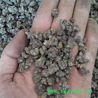 野生猫爪草 纯野生猫爪草 正品保证质量7天无理由退货退款 华安堂图4