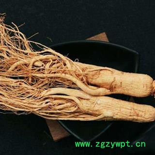 人参个带须人参个子小号正品保证质量7天无理由退货退款 中药材批发 丽丽药业图2