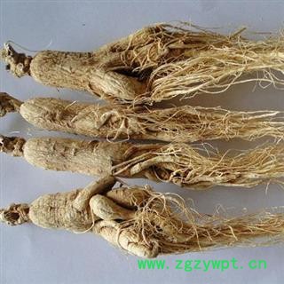 人参个带须人参个子小号正品保证质量7天无理由退货退款 中药材批发 丽丽药业图4