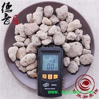 海浮石 统 产地广东省 1000g 中药材批发 规格齐全图3