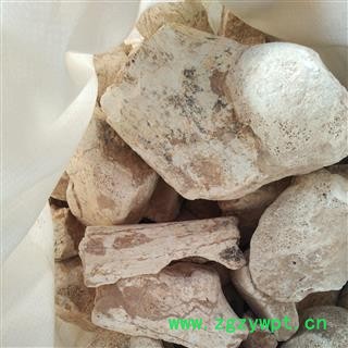 土龙骨 土龙骨大块 产地 甘肃 华美中药 产地直销 重在品质图2