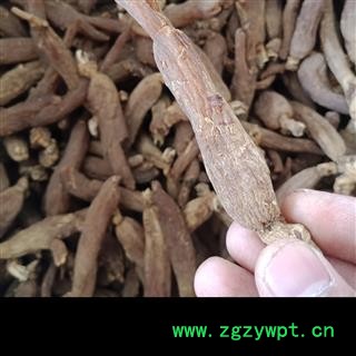 丽丽药业 红参个子无糖红参 中药材批发 精品选货大号红参实图 拍照7天无理由退货退款图2
