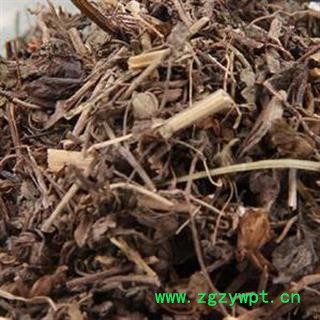 双肾草 肾阳草 一根葱 对对参 鸡肾参 秤砣草 华安堂图2
