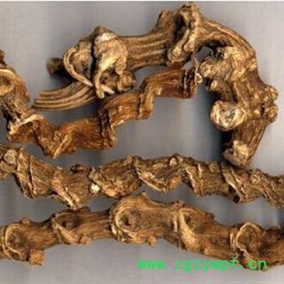 竹节参 白三七 竹节三七 明七正品保证质量7天无理由退货退款 中药材批发 丽丽药业图4