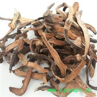 骨碎补选货 骨碎补选个 个子 正品保证质量 华安堂图2