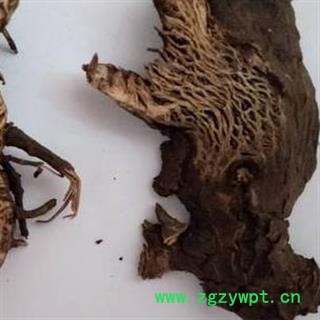 鬼脸 东北升麻 北升麻 鬼脸升麻  正品保证质量7天无理由退货退款 华安堂图3