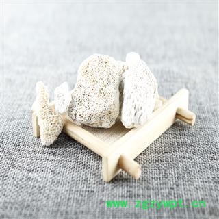 【满298元包邮】龙骨 龙骨水洗选装 产地 内蒙古自治区 1公斤1袋图2