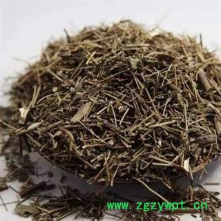 石香薷统货别名石苏 蚊子草 五香草 丽丽药业图4